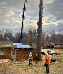Tree removal crew trimming a tall dead tree beside a brick house, with a crane and workers on site