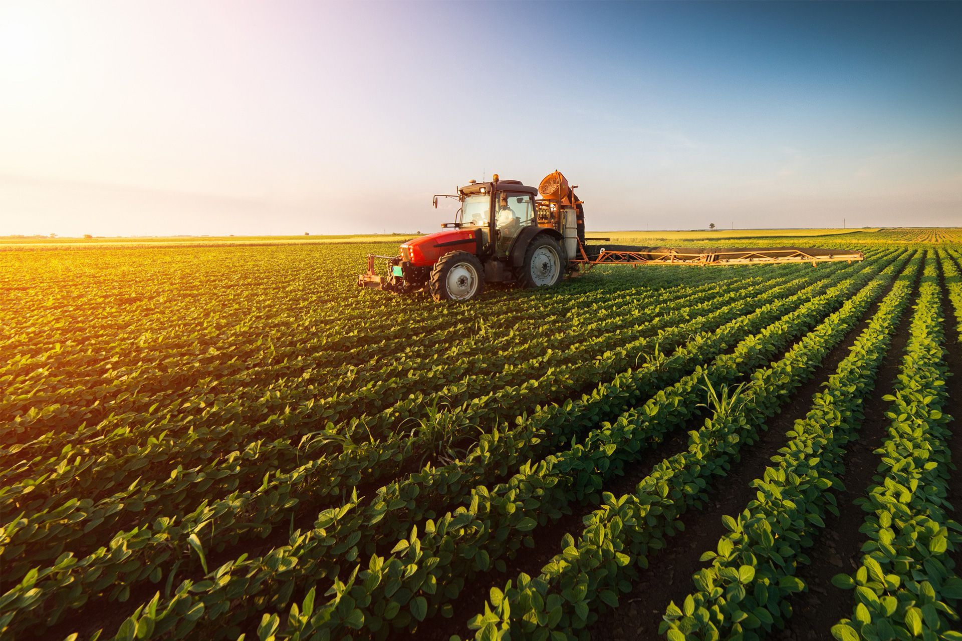 Tractor in Farm
