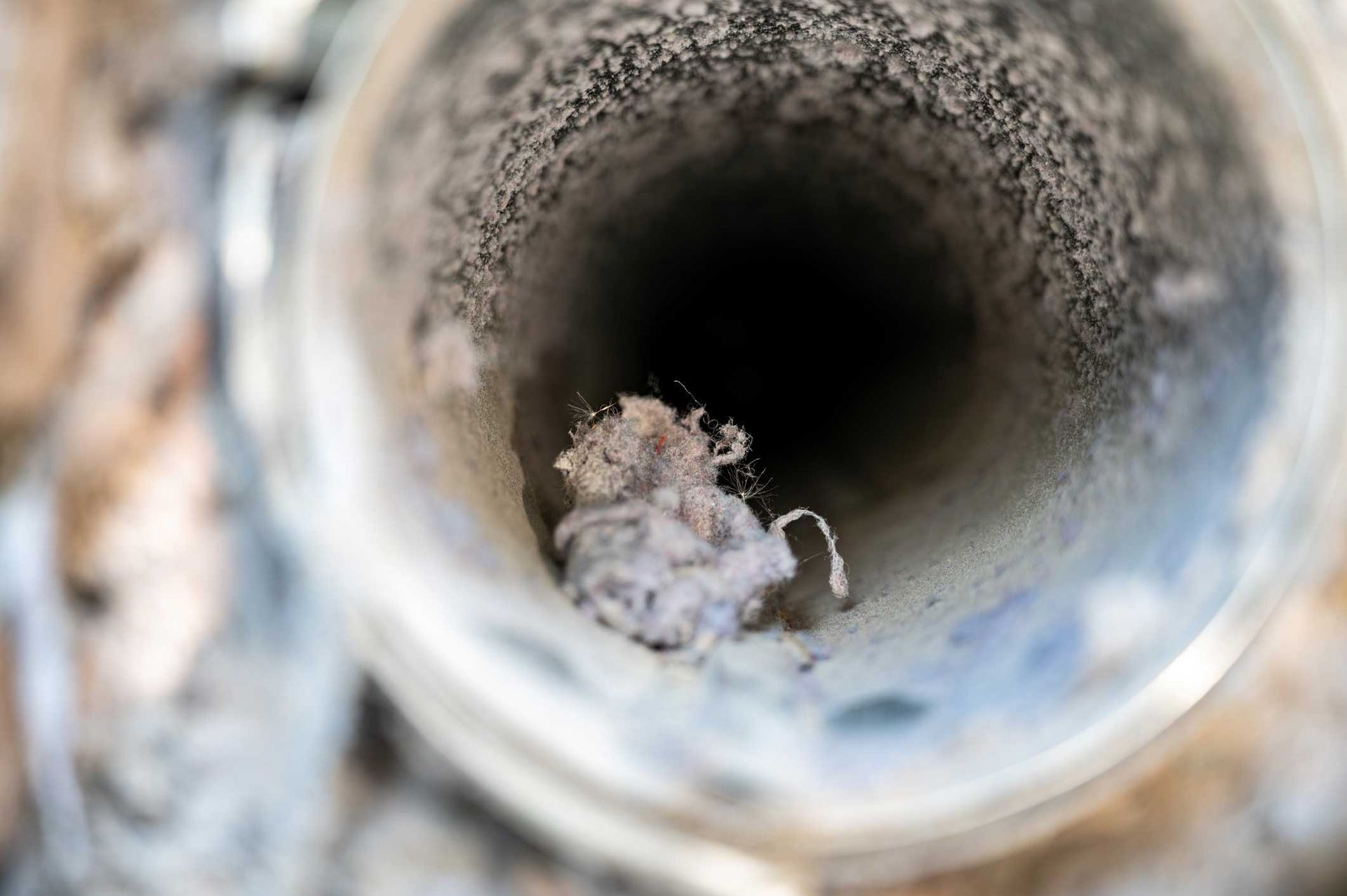 Close-up view down a cylindrical pipe with a dark center and a small clump of debris inside