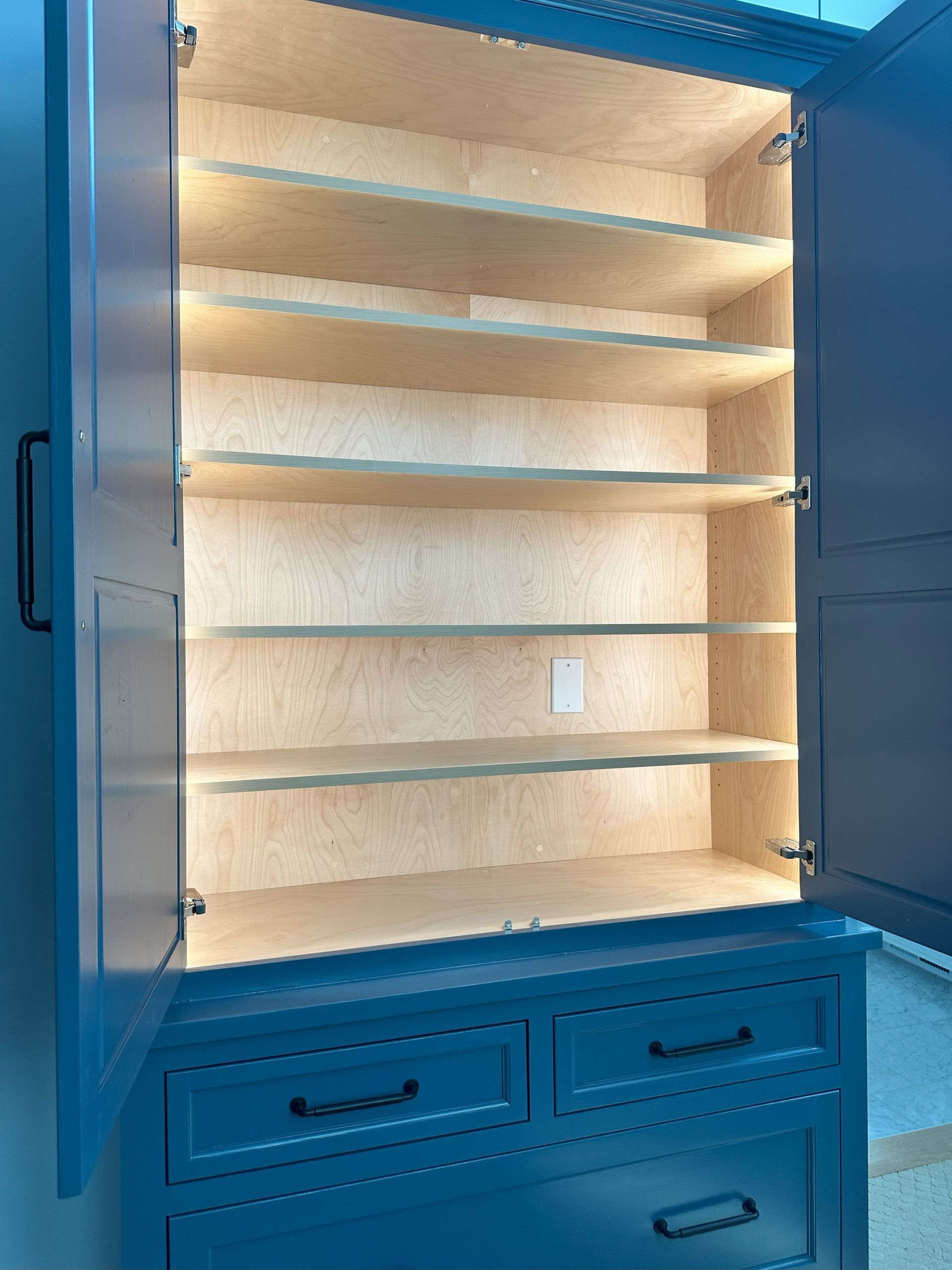 The inside of a blue cabinet with the doors open and shelves.