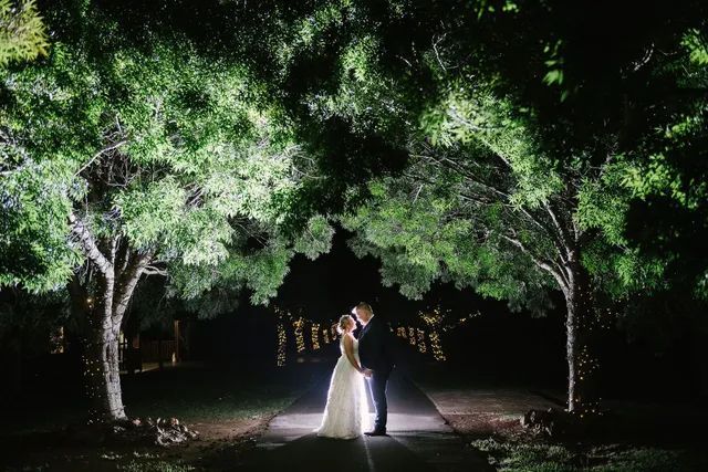 A bride and groom are kissing under a tree at night.