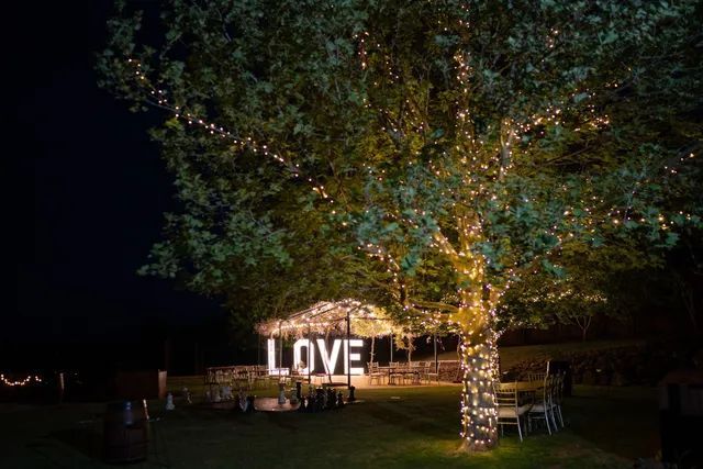 A tree is decorated with lights and a sign that says `` love ''.