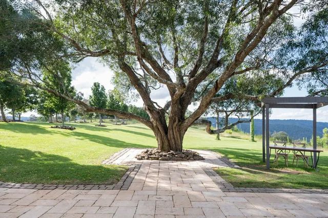 The Wedding Tree