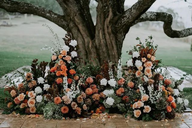 A bunch of flowers are sitting under a tree.
