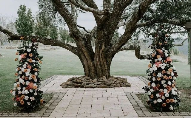 Two christmas trees are sitting under a tree in front of a brick walkway.