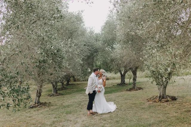 A bride and groom are kissing in a field surrounded by olive trees.