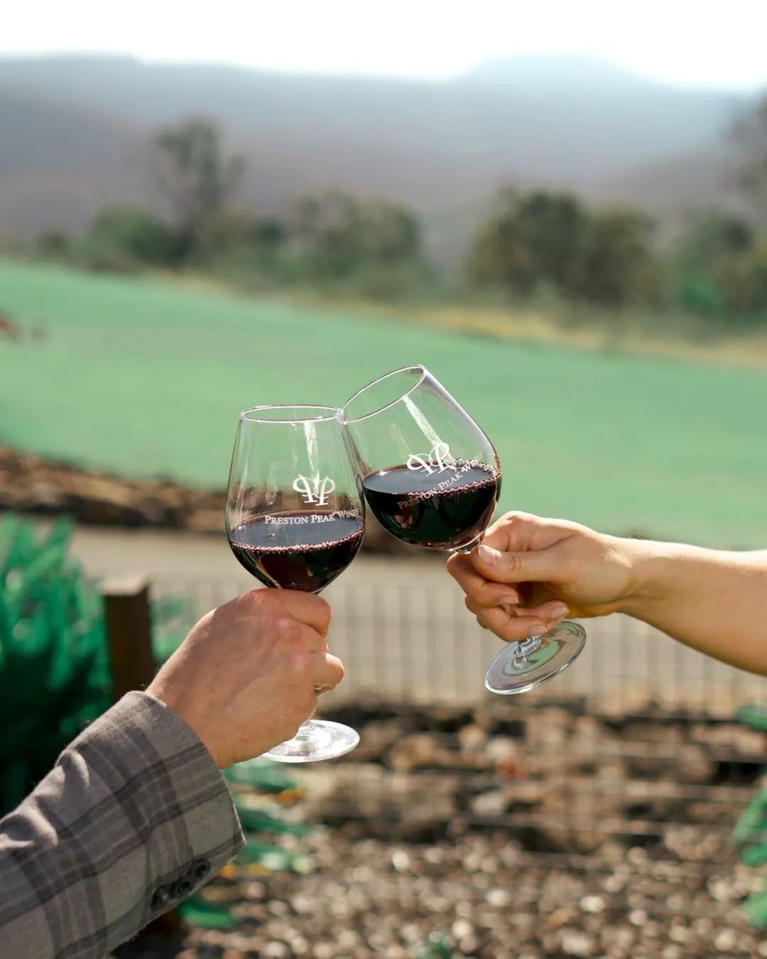 A man and a woman are toasting with wine glasses.