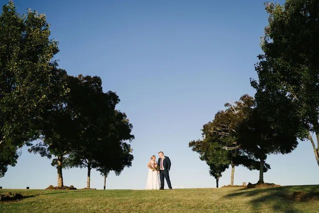 A bride and groom are standing on top of a grassy hill surrounded by trees.