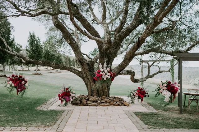 A large tree is decorated with flowers for a wedding ceremony.