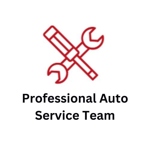 Professional Auto Services Team