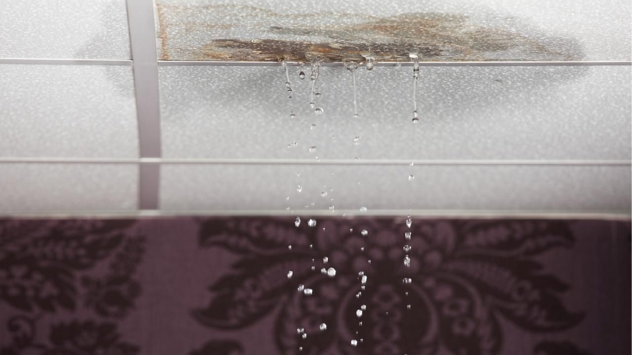roof leaks