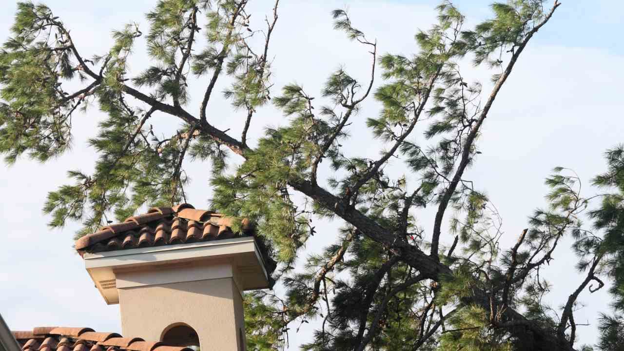 roof repair