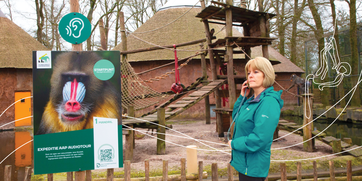 A person listening to the audio tour in front of a monkey exhibit and explanation board about the audio tour