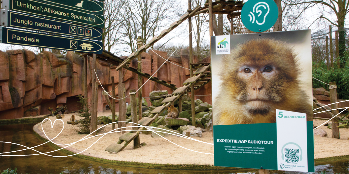 The Monkey exhibit in the zoo with a wayfinder and explanation about the mobile audio tour
