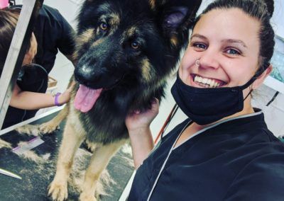 Woman smiles with a German Shepherd, grooming session. Black mask, dog panting, fur on table.