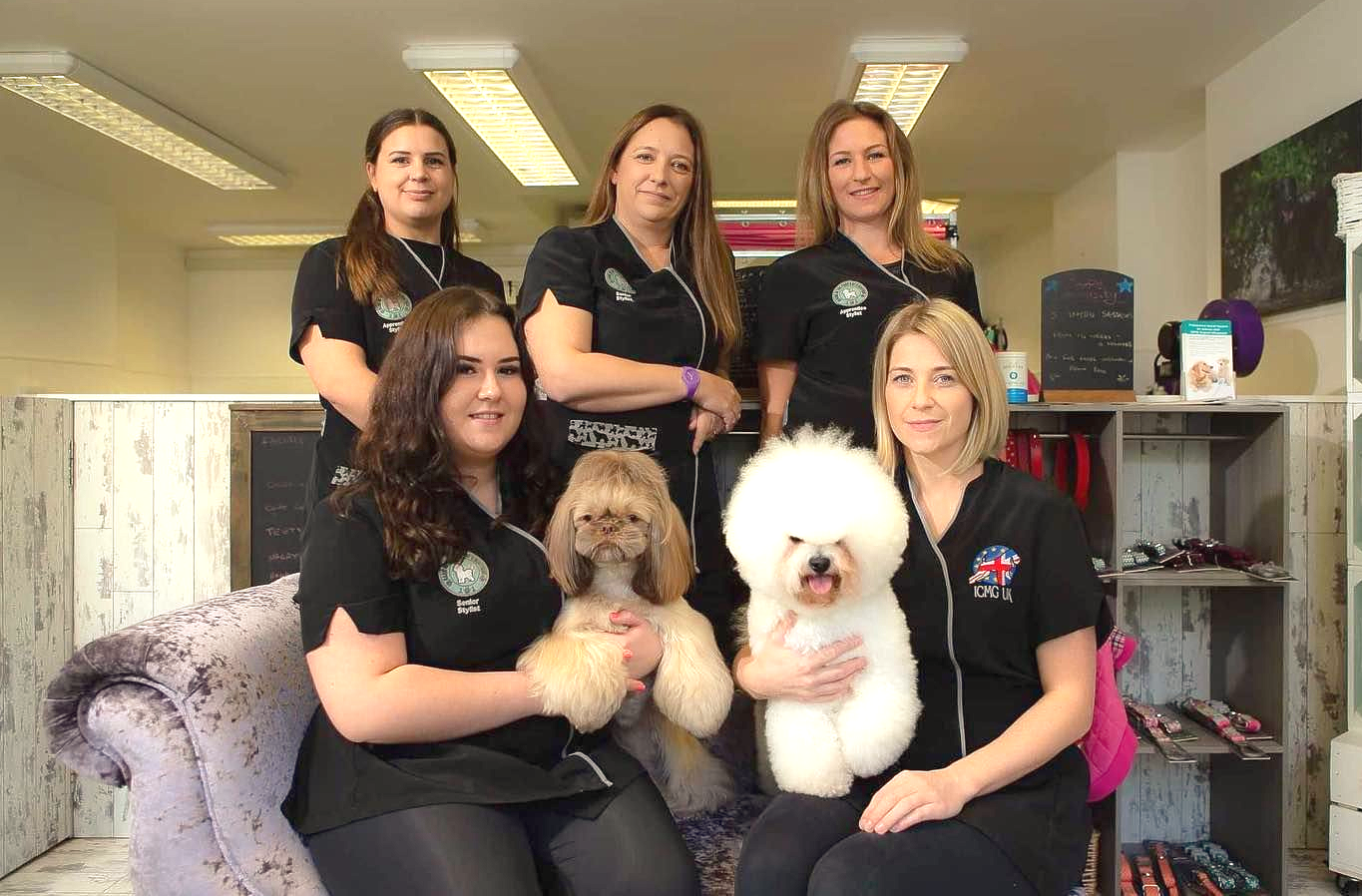 Group of women with two fluffy, groomed dogs in a pet grooming shop. Women wear black shirts.