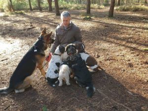 Man surrounded by five dogs in a forest; the dogs are looking at him.