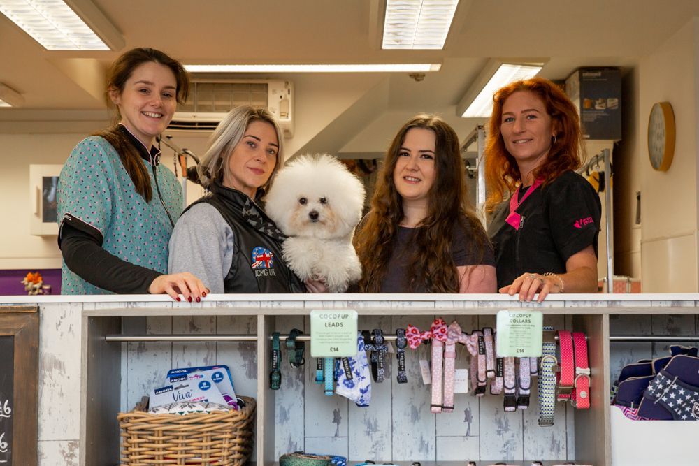 Four women and a white fluffy dog stand behind a counter in a pet shop.