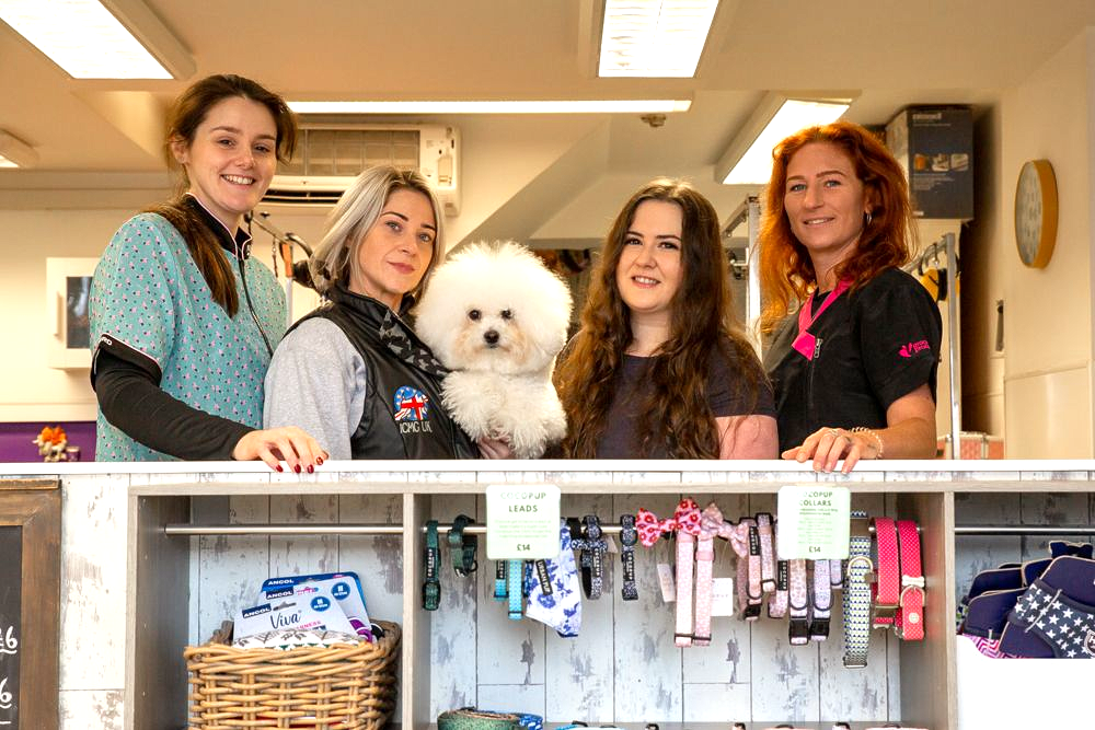 Four people pose behind a counter in a dog grooming shop, holding a fluffy white dog.