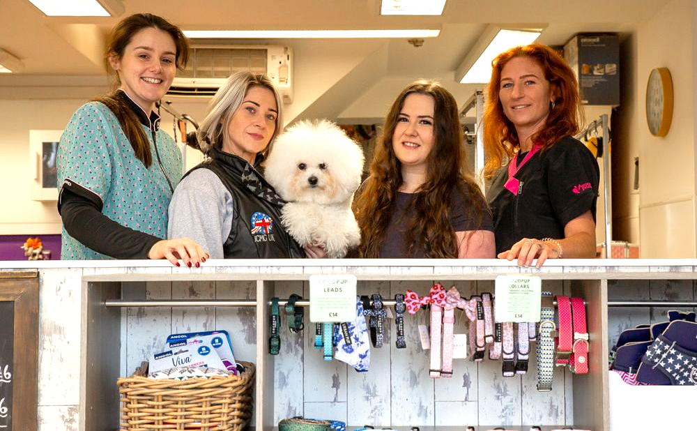 Four women and a fluffy dog behind a counter displaying pet accessories.