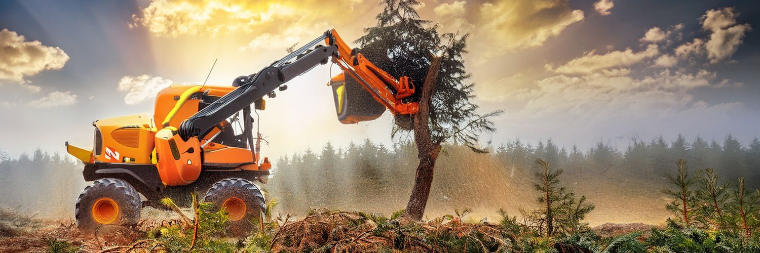 Emergency Tree Removal