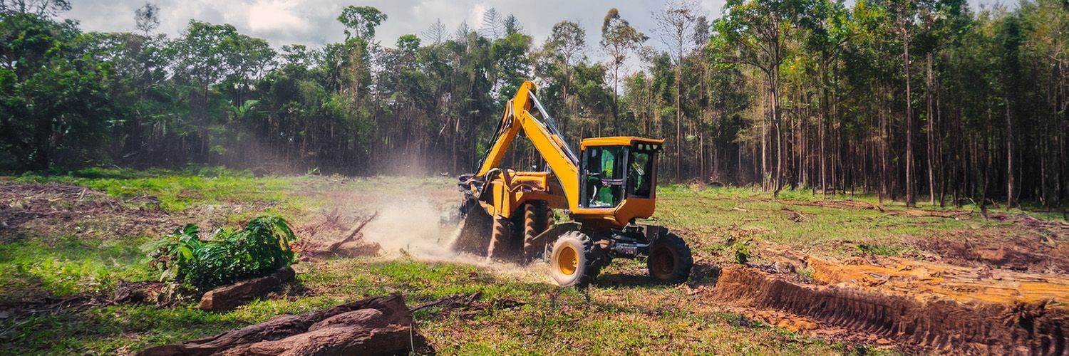 tree removal for land clearing
