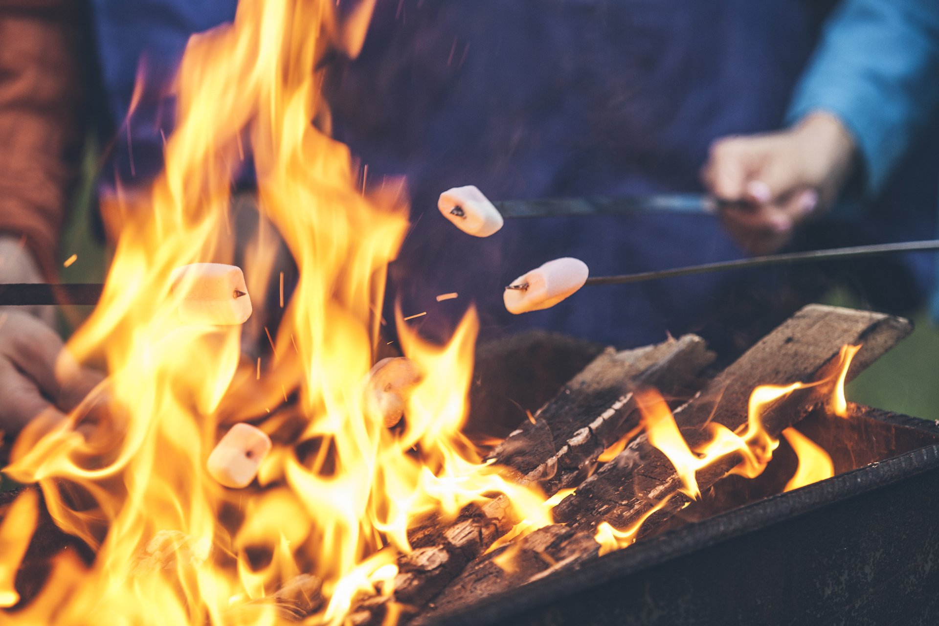 People sitting around a campfire