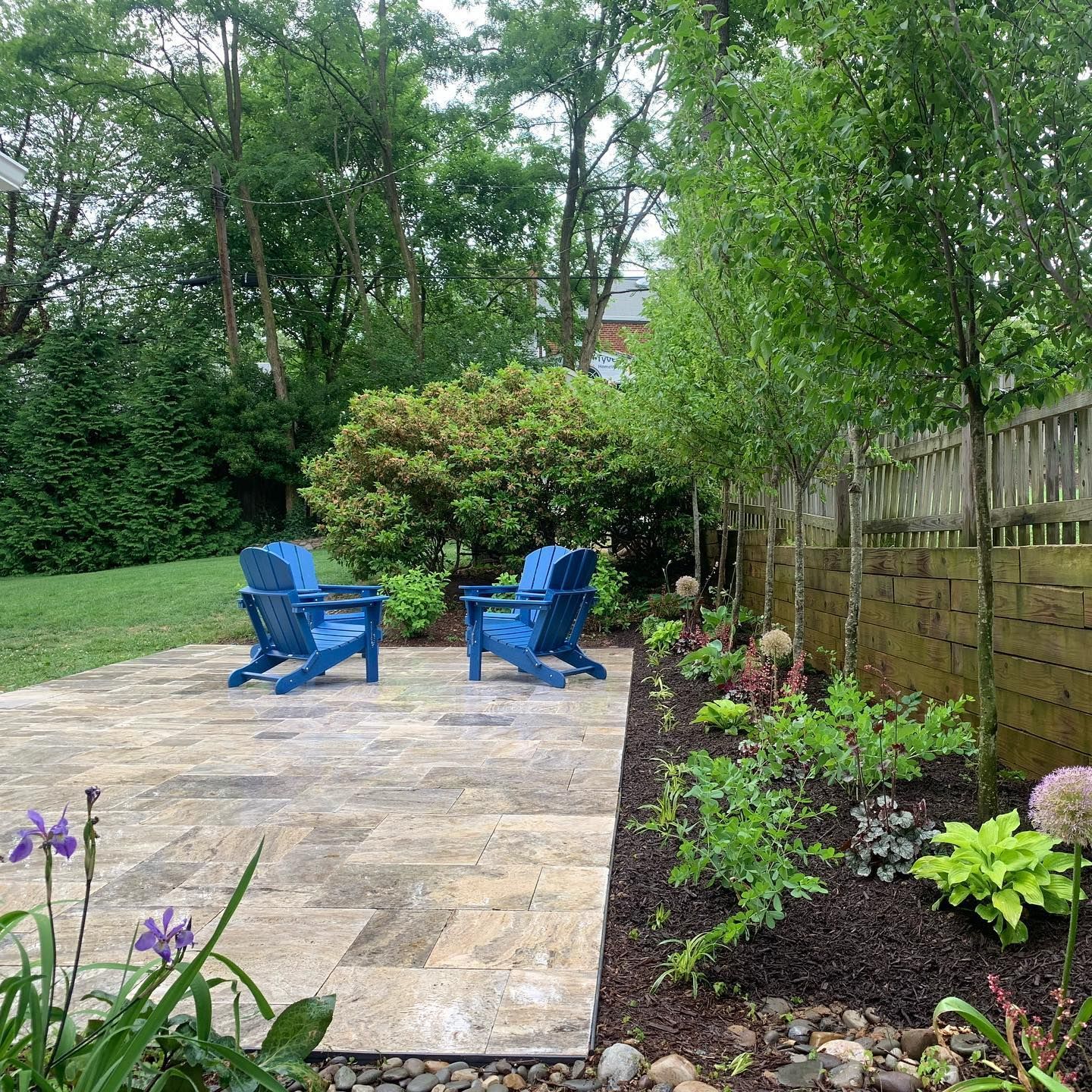 Two bright blue Adirondack chairs sit on a light stone patio in a lush backyard garden.