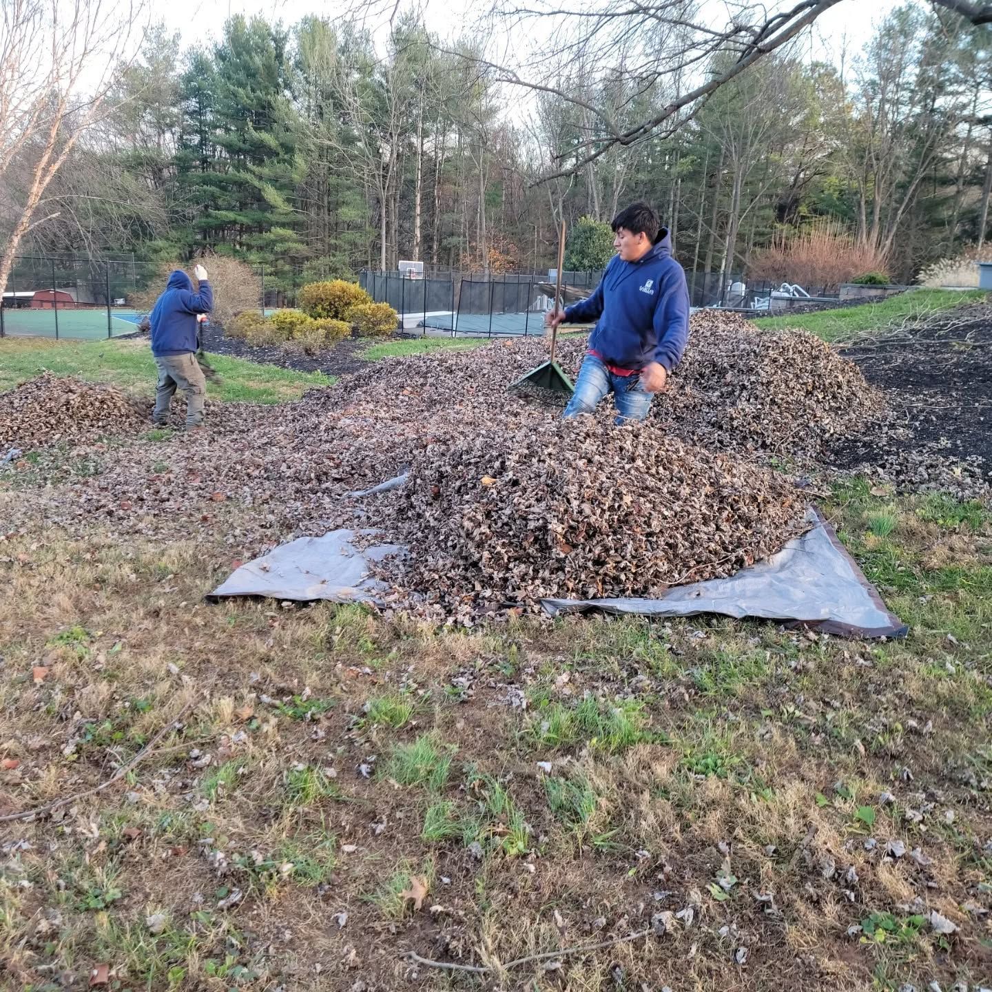 Two people using shovels to pile brown autumn leaves onto a large grey tarp in an outdoor area with trees.