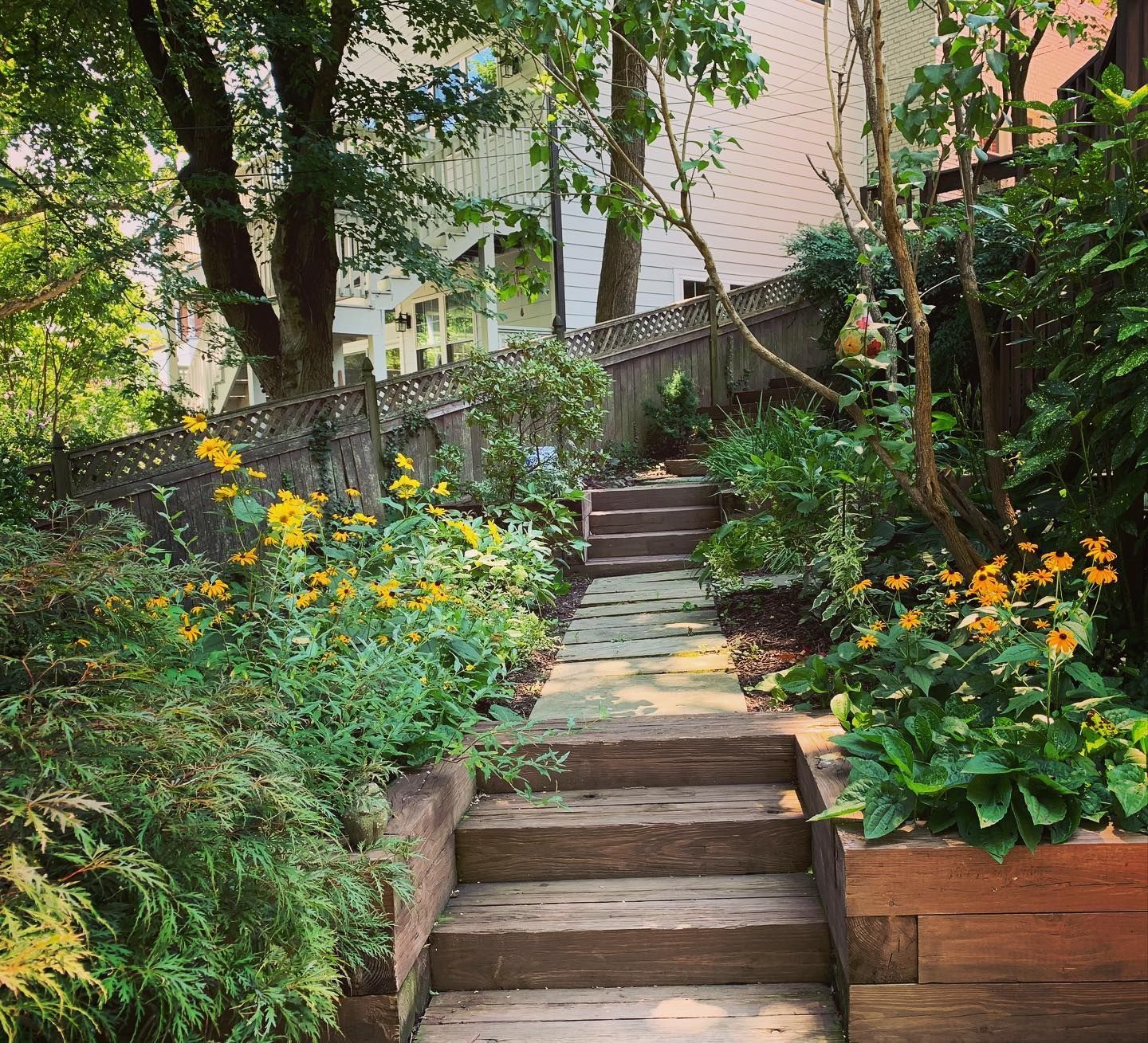 A stone pathway with wooden steps leads upward through a lush garden with yellow flowers and greenery.