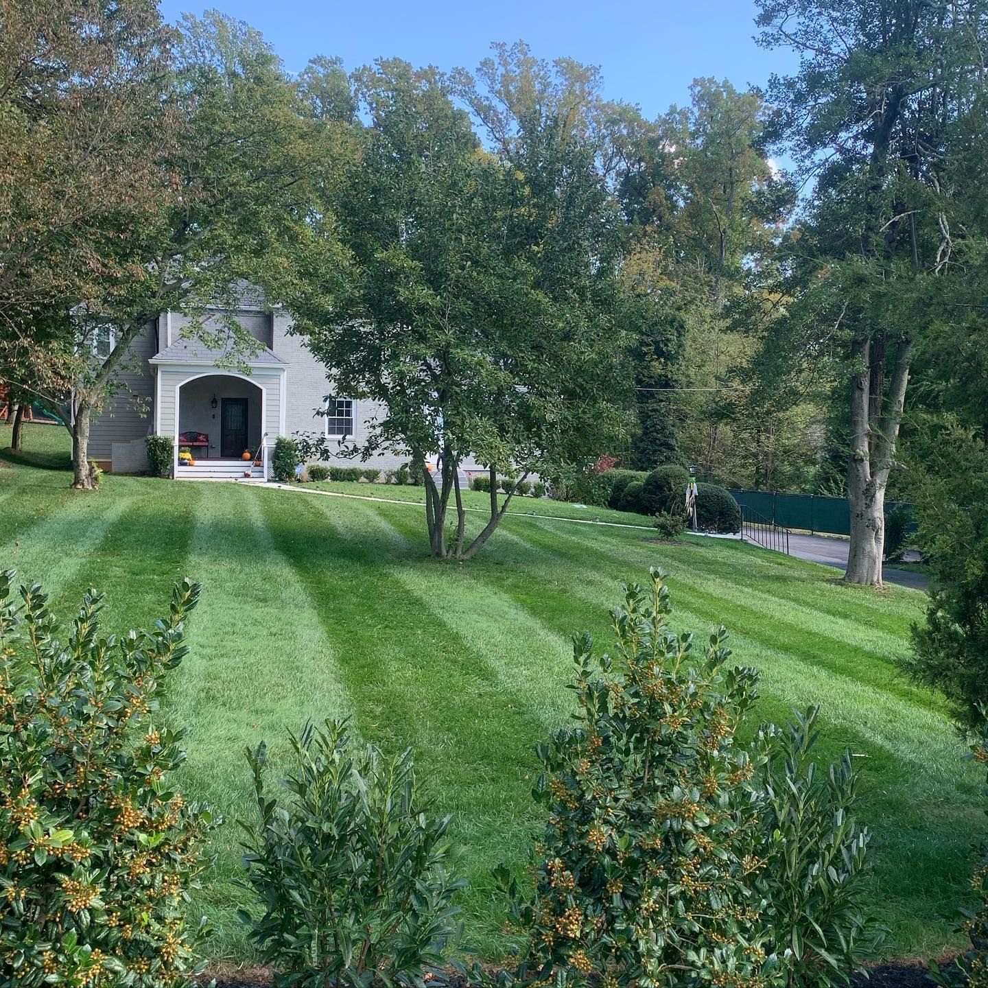 A neatly mown lawn with striped patterns leading to a light-colored house framed by lush green trees on a sunny day.