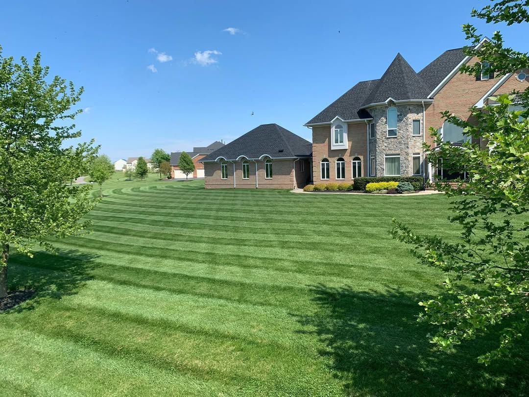 A large, well-manicured green lawn with mowing stripes in front of two suburban houses under a clear blue sky.