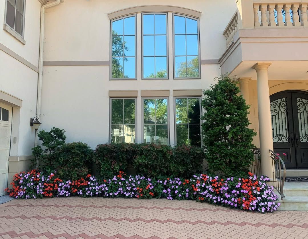 A lush garden bed with tall, slender green leaves and a cluster of variegated, spotted foliage in the foreground.