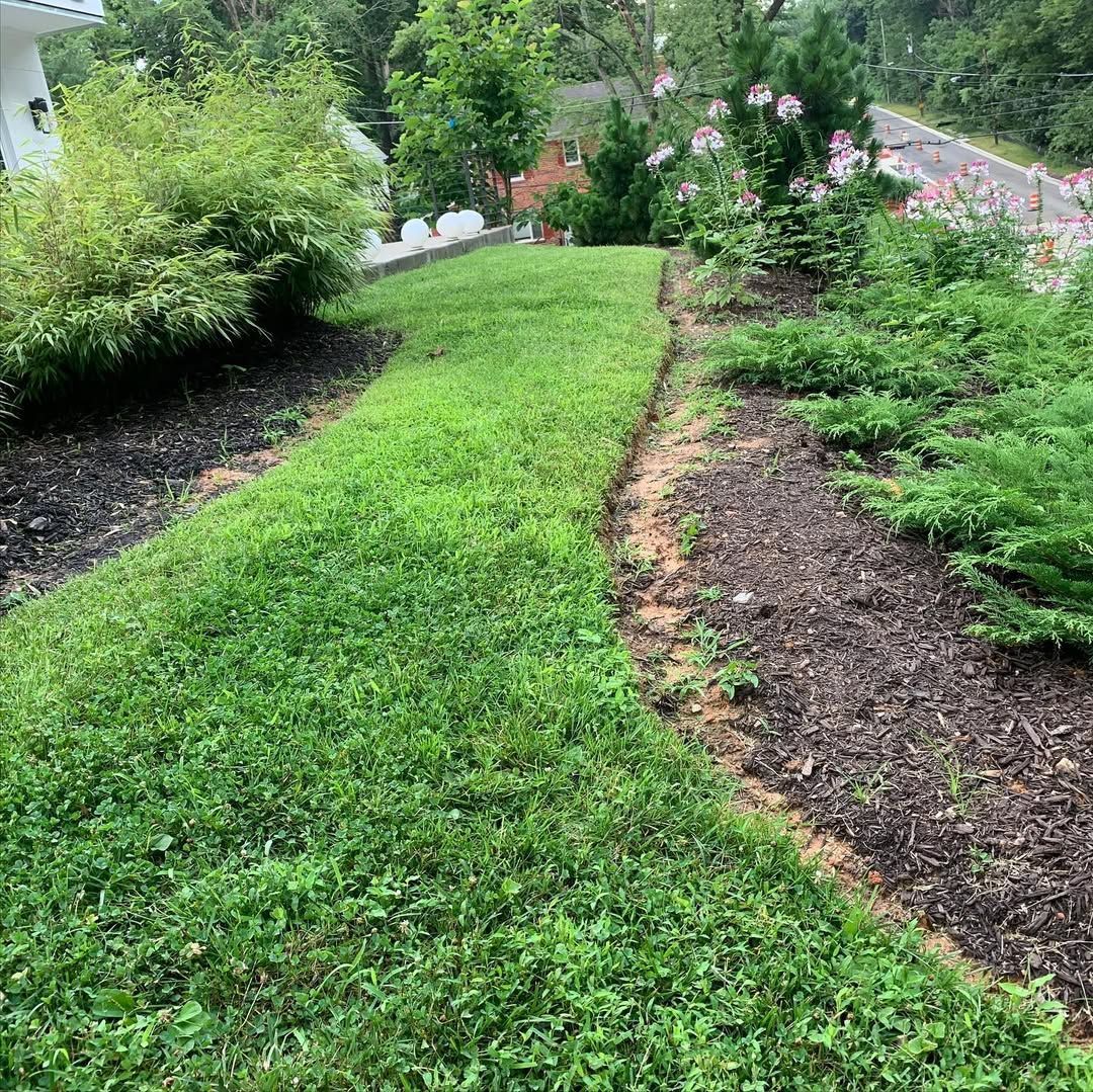 A patch of grass separates two areas of dark mulch in a garden bed with greenery and a partial house view.