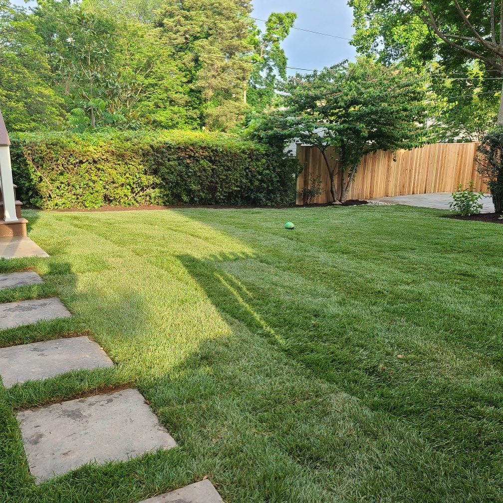 A backyard with a stone path leading across a green lawn toward a dense hedge and a wooden fence.