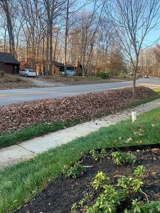 A large, long pile of brown fallen leaves along the grass strip between a concrete sidewalk and an asphalt road.