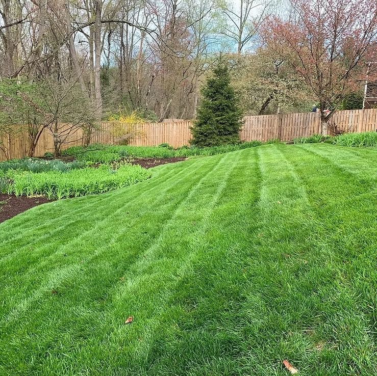 A manicured lawn with prominent mowing stripes slopes up toward a garden bed against a wooden fence.