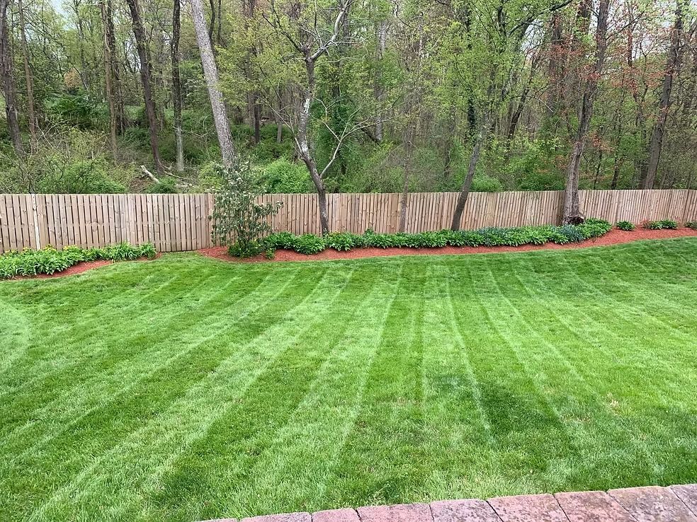 A freshly mowed green lawn with striped grass patterns leading to a wooden fence bordered by plants and mulch.
