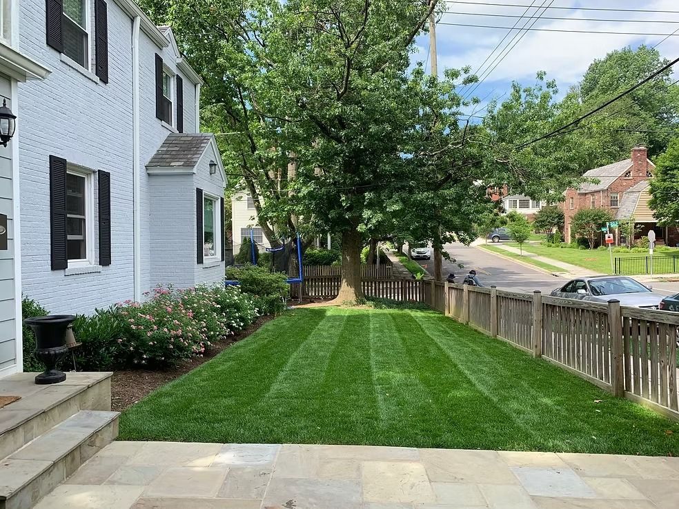 A freshly mown, striped lawn bordered by a white house with black shutters and a wooden fence along a suburban street.