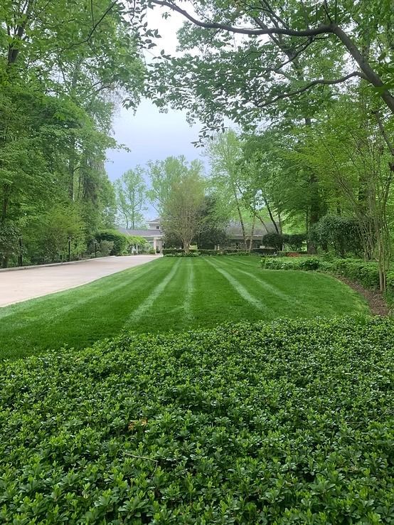 A neatly mowed lawn with distinct grass stripes, lined by a paved driveway and surrounded by lush, green trees and shrubs.