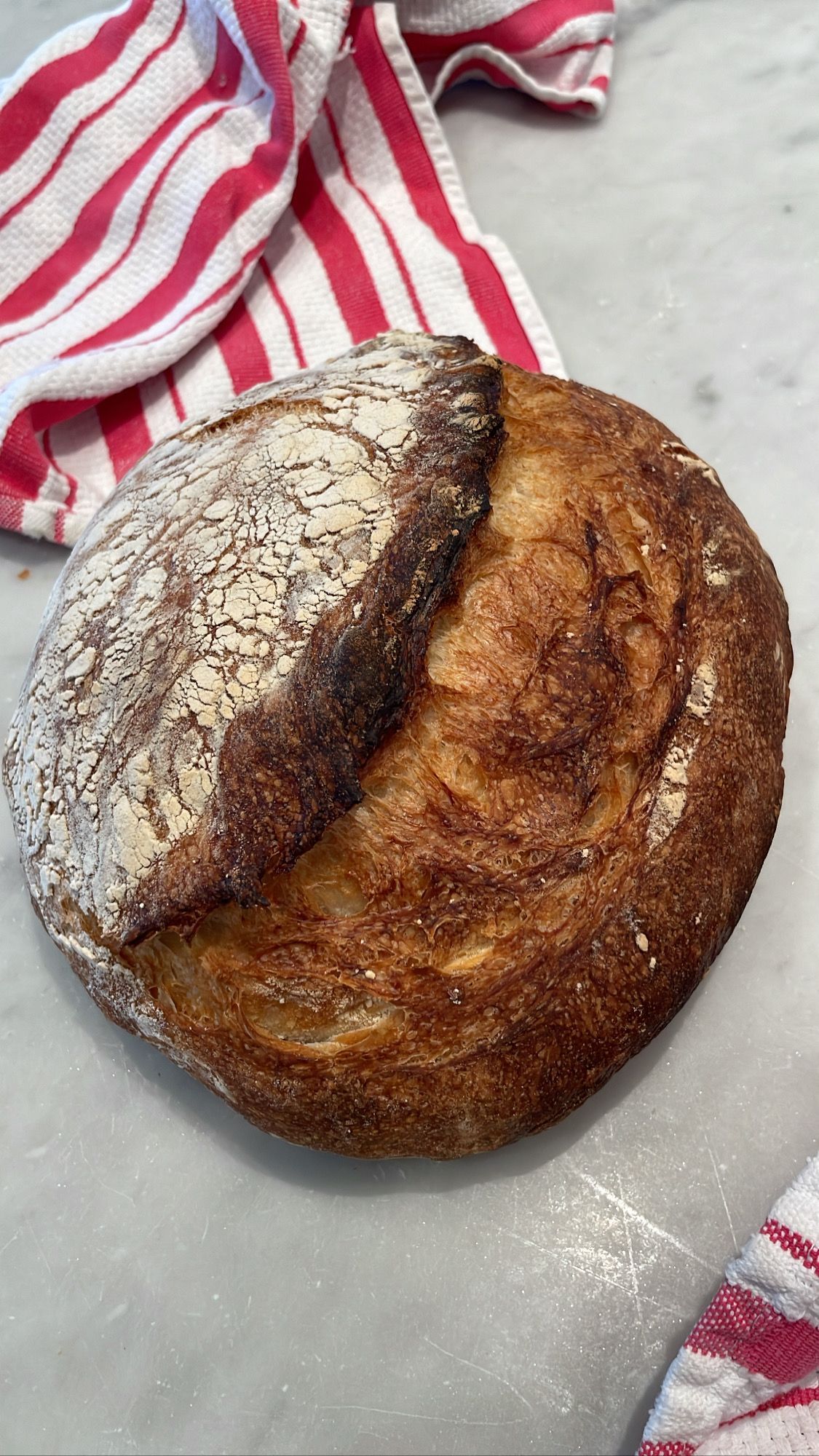 Sourdough Bread from Soigne at Homes Signature Sourdough Starter