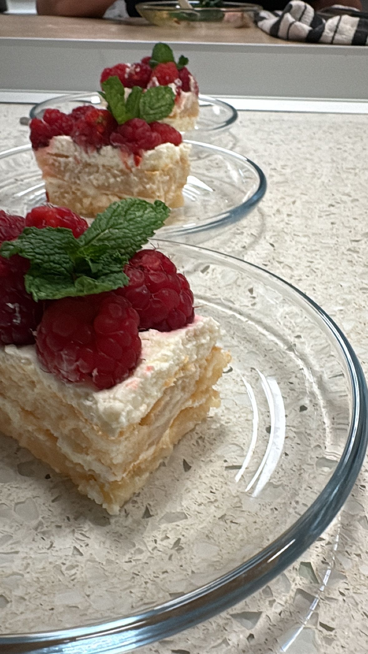 Raspberry Tres Leches Cake topped with Fresh Mint