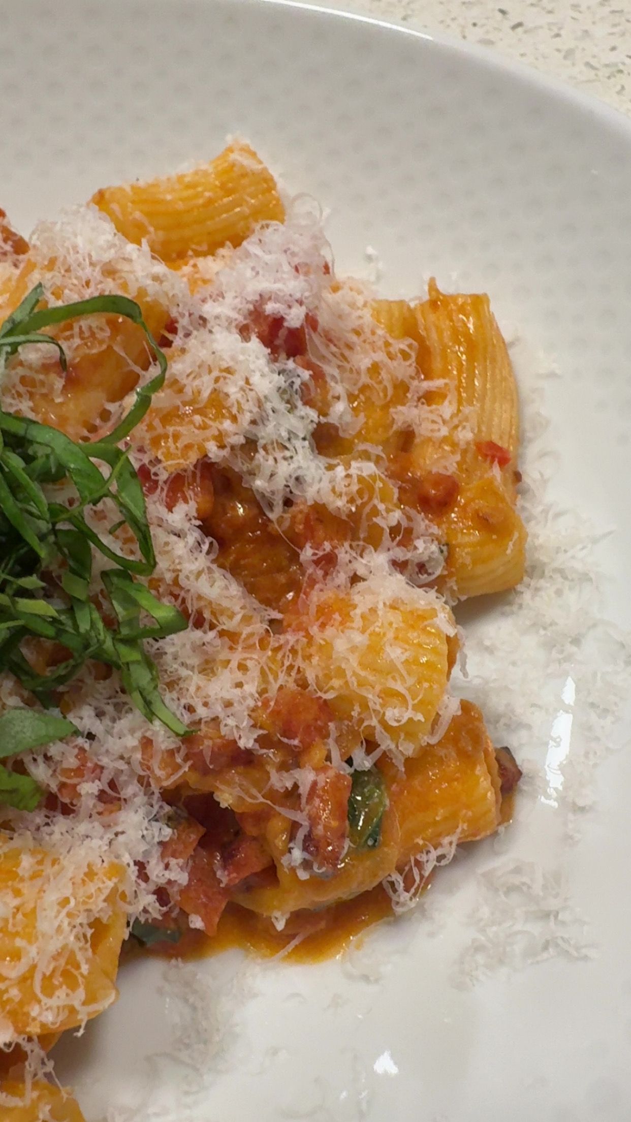 Homemade Rigatoni with Garden Tomato Sauce and Basil