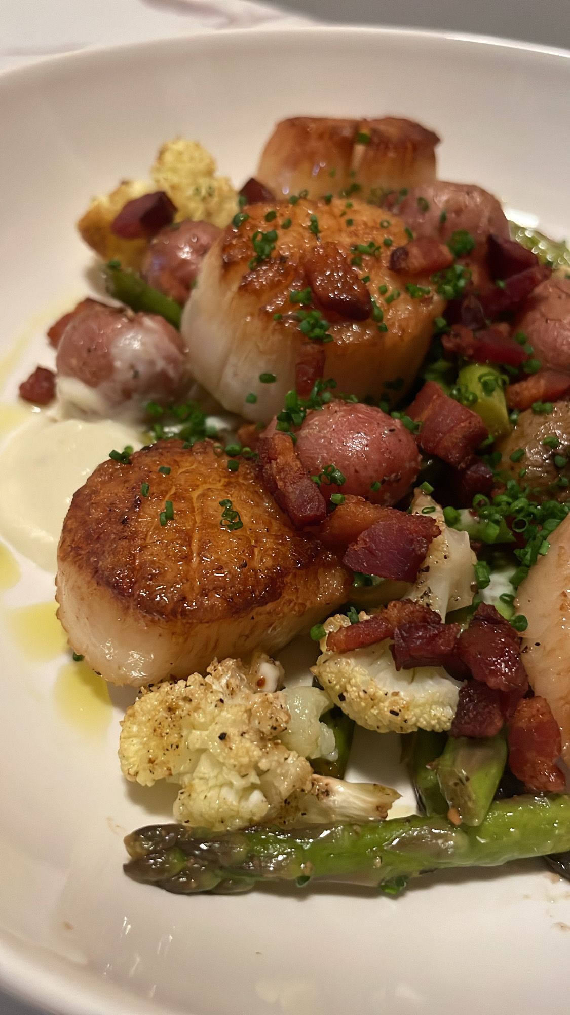 Seared Diver Scallops with Cauliflower Puree and Lardons served with Asparagus