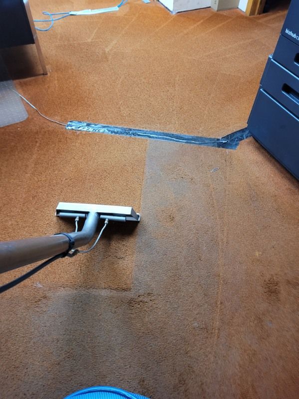 A person is cleaning a carpet with a vacuum cleaner