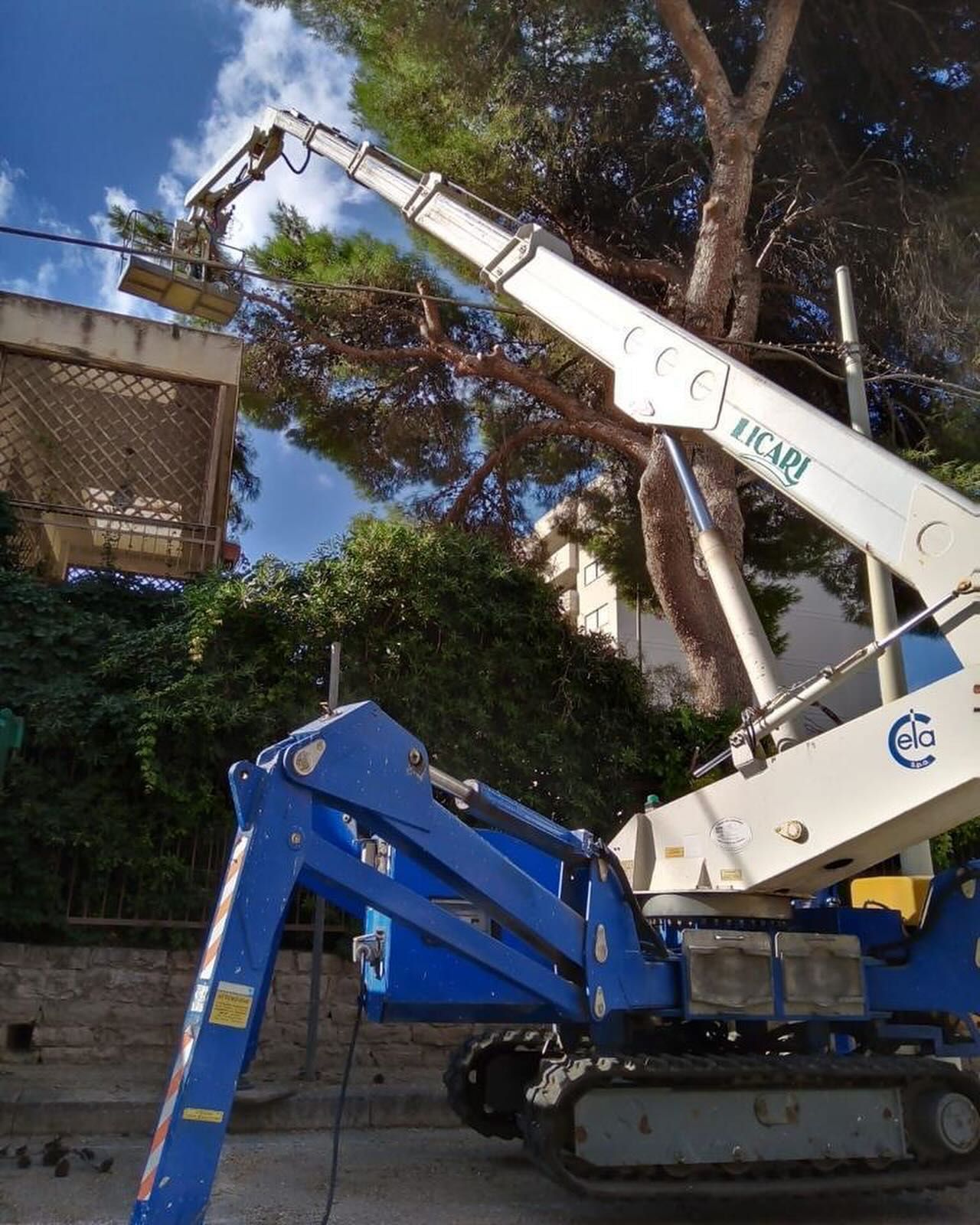 piattaforma aerea per potature