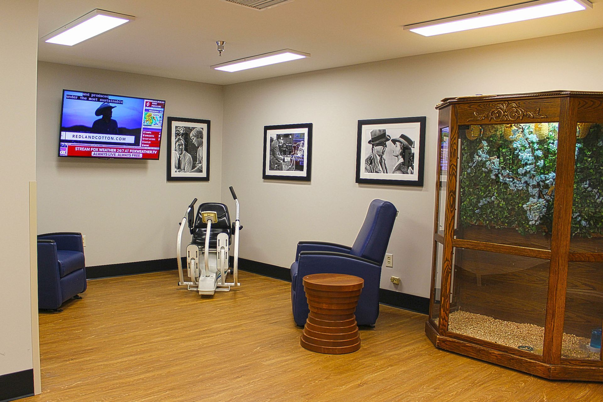 A living room with a television and a bird cage