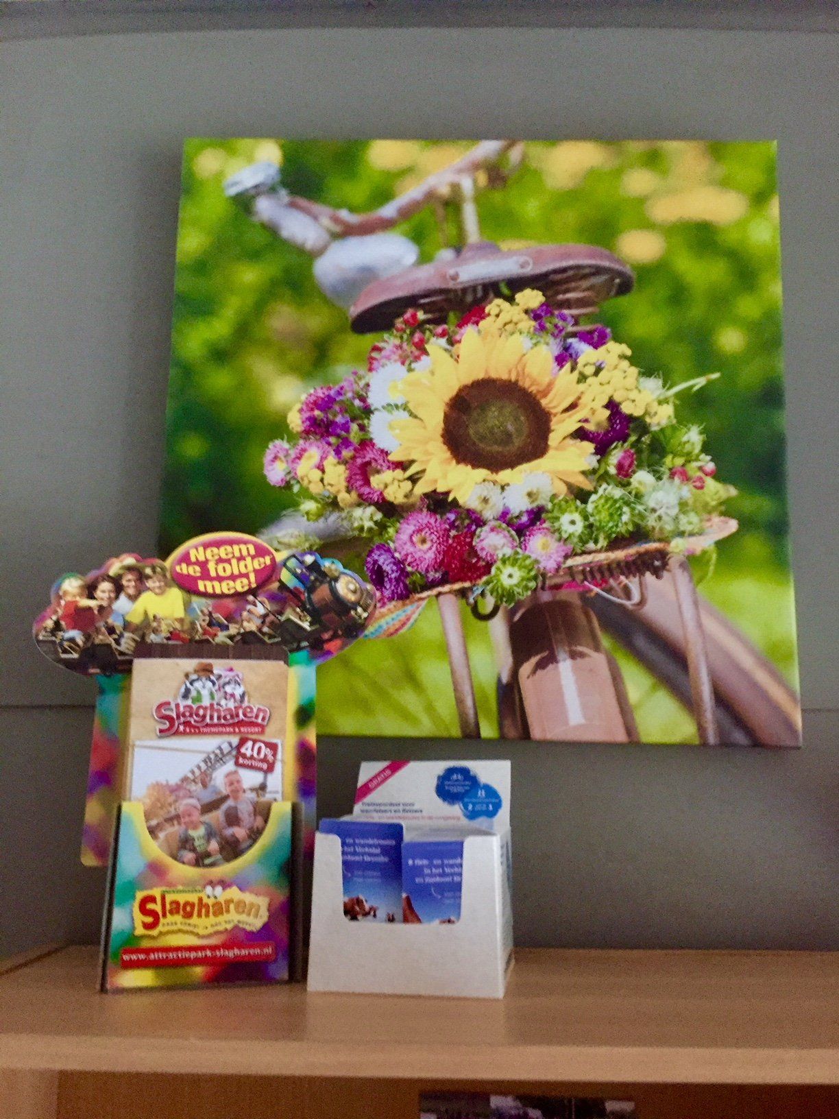 activiteiten overijssel