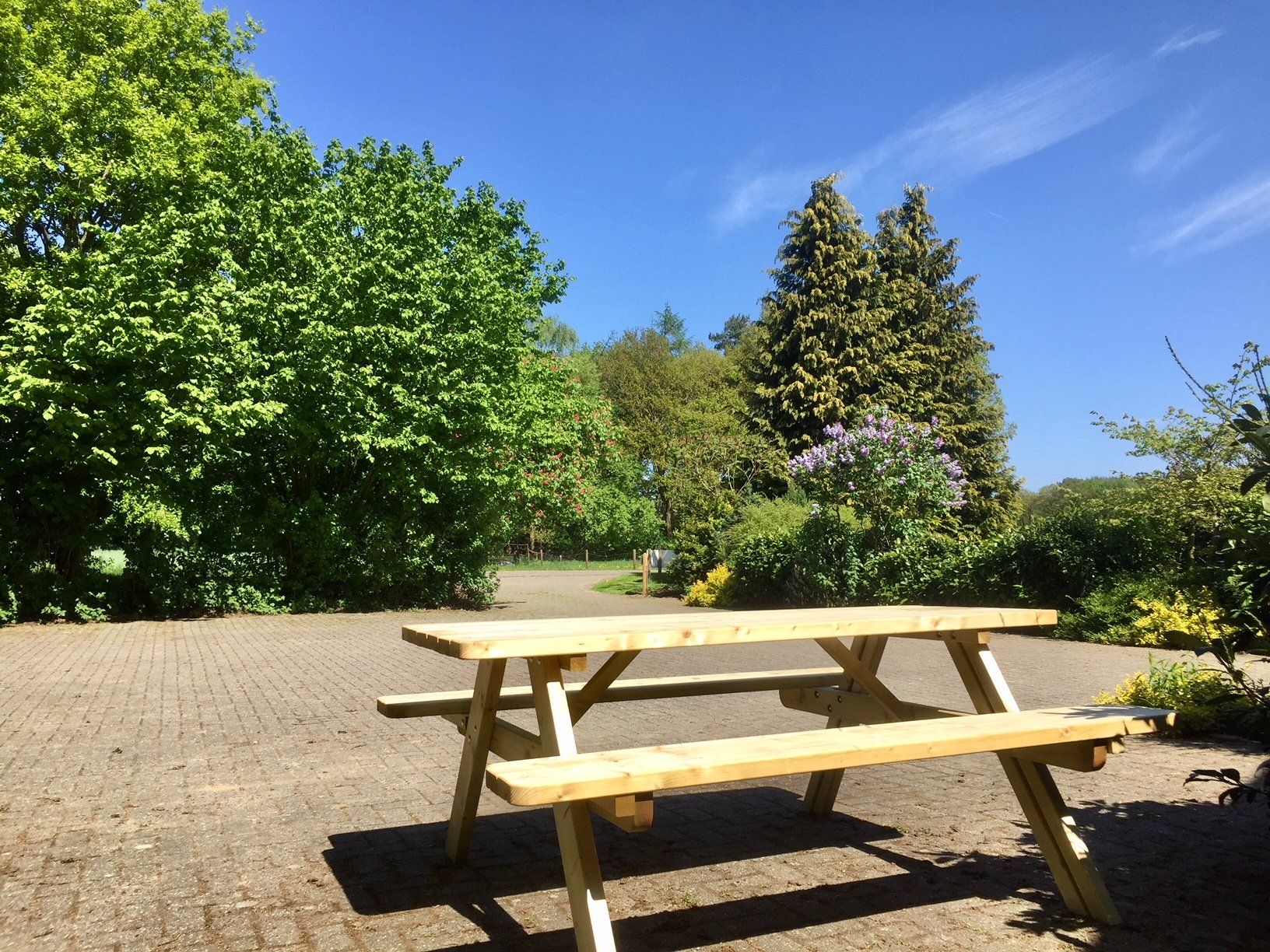 terras voorzijde groepsaccomodatie