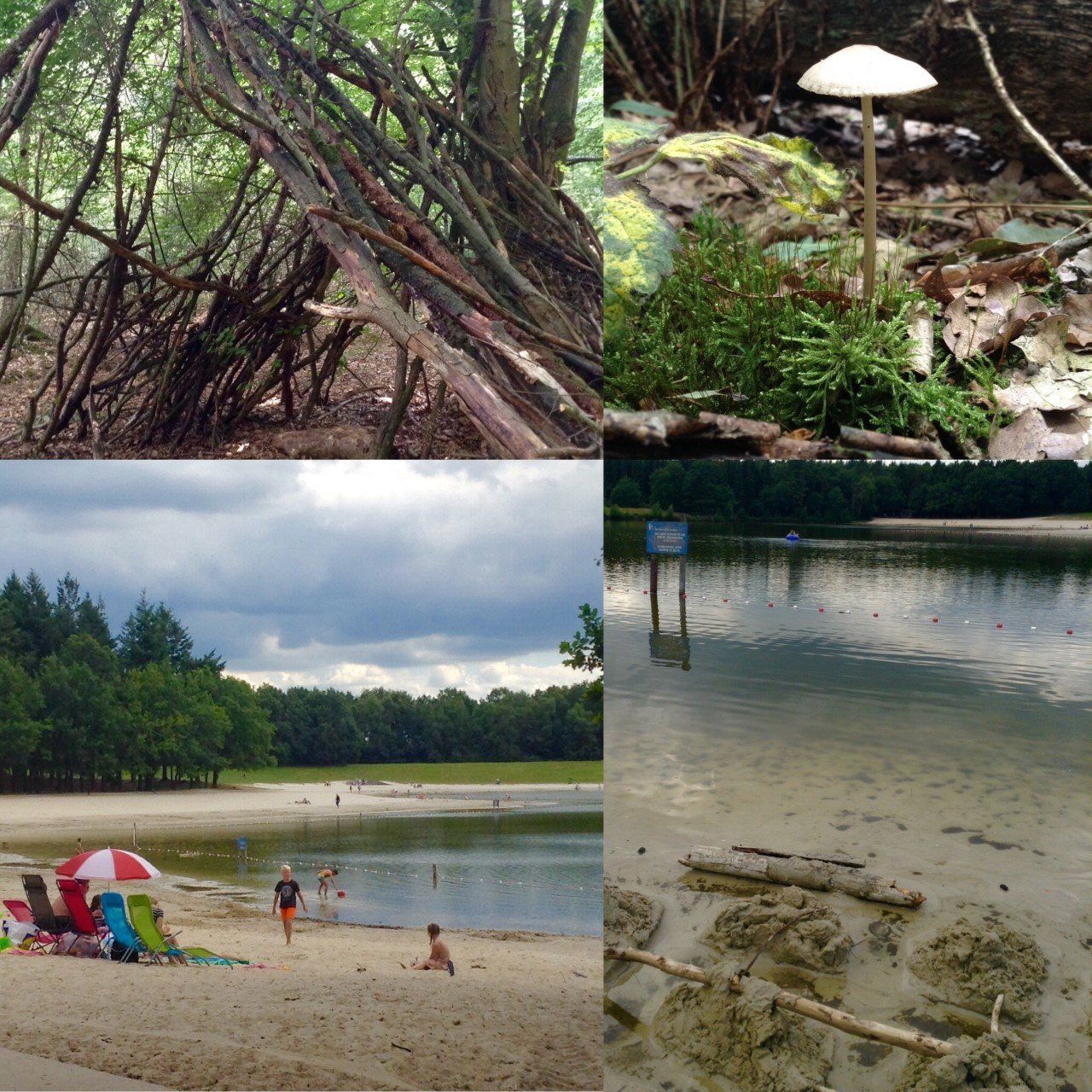 omgeving de bontekoe diffelen